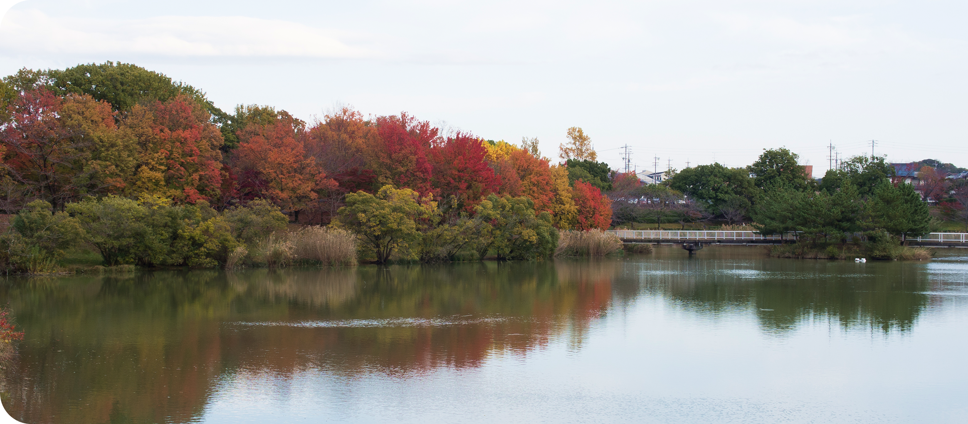 メインビジュアル画像